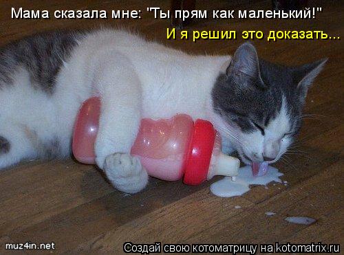 Мама сказала мне: "Ты прям как маленький!" И я решил это доказать...... Котоматрица: Мама сказала мне: "Ты прям как маленький!" И я решил это доказать...