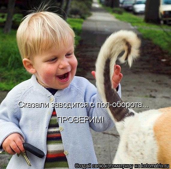 Сказали заводится с пол-оборота... ПРОВЕРИМ!... Котоматрица: Сказали заводится с пол-оборота... ПРОВЕРИМ!