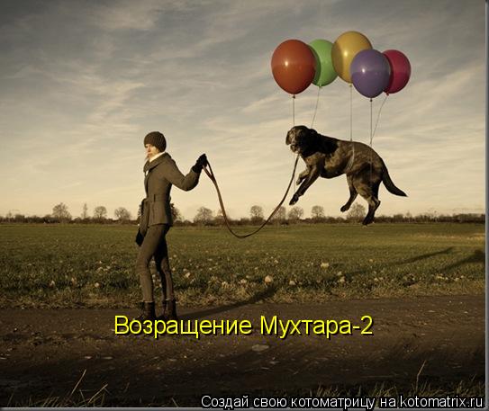 Котоматрица: Возращение Мухтара-2