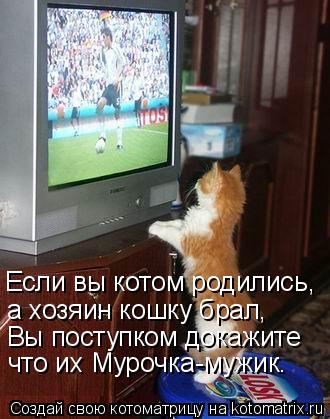 а хозяин кошку брал, Вы поступком докажите что их Мурочка-мужик. Если вы котом родились,... Котоматрица: а хозяин кошку брал, Вы поступком докажите что их Мурочка-мужик. Если вы котом родились,