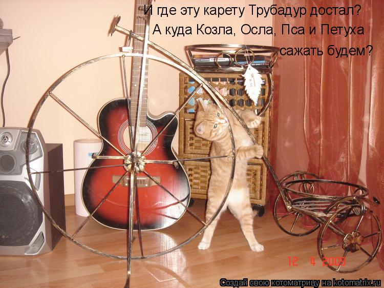 Котоматрица: И где эту карету Трубадур достал?  сажать будем?  А куда Козла, Осла, Пса и Петуха