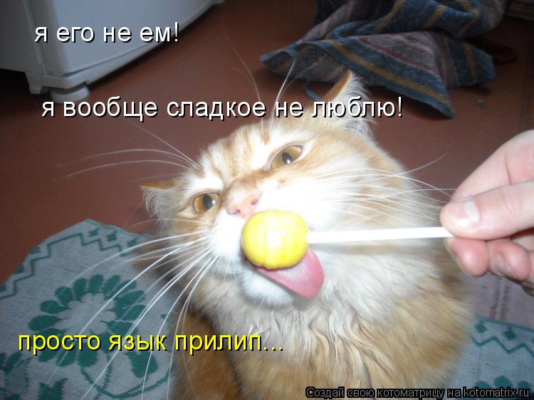 Котоматрица: я его не ем! я вообще сладкое не люблю! просто язык прилип...