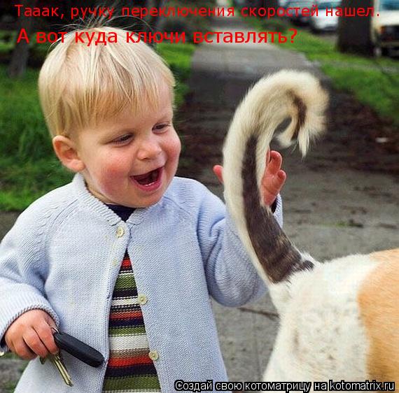 Котоматрица: А вот куда ключи вставлять? Тааак, ручку переключения скоростей нашел.