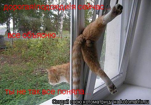 дорогая!подожди!я сейчас... все объясню... ты не так все поняла...... Котоматрица: дорогая!подожди!я сейчас... все объясню... ты не так все поняла...