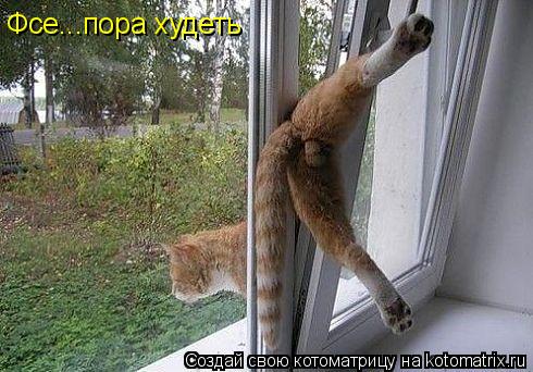 Фсе...пора худеть... Котоматрица: Фсе...пора худеть