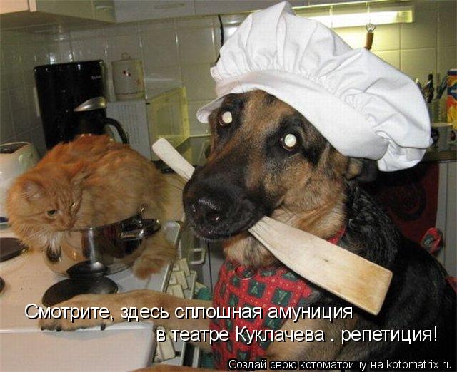 в театре Куклачева – репетиция! Смотрите, здесь сплошная амуниция... Котоматрица: в театре Куклачева – репетиция! Смотрите, здесь сплошная амуниция