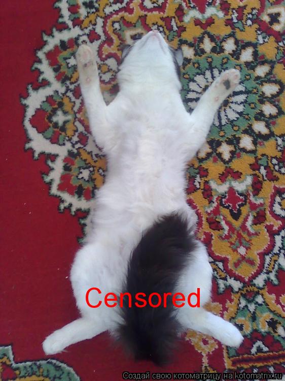 Котоматрица: Censored