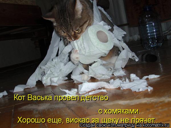 Котоматрица: с хомяками. Кот Васька провел детство Хорошо еще, вискас за щеку не прячет...