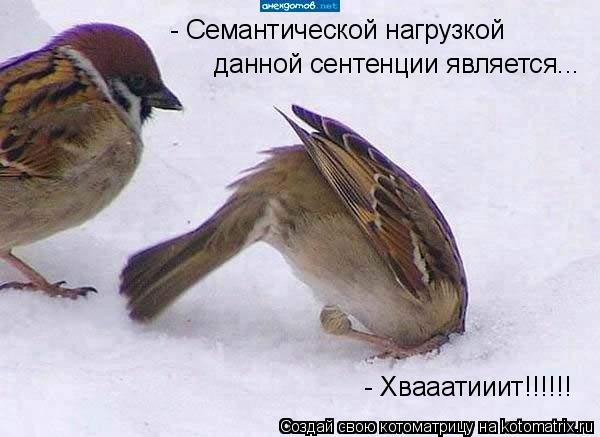 Котоматрица: - Семантической нагрузкой данной сентенции является... - Хвааатииит!!!!!!