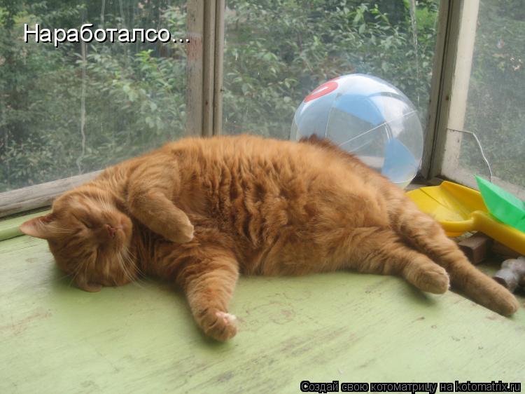 Котоматрица: Наработалсо...