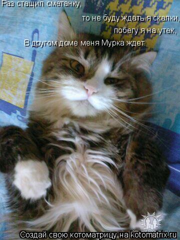 Котоматрица: то не буду ждать я скалки Раз стащил сметанку, , побегу я на утек, В другом доме меня Мурка ждет.