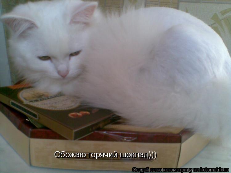 Обожаю горячий шоклад)))... Котоматрица: Обожаю горячий шоклад)))