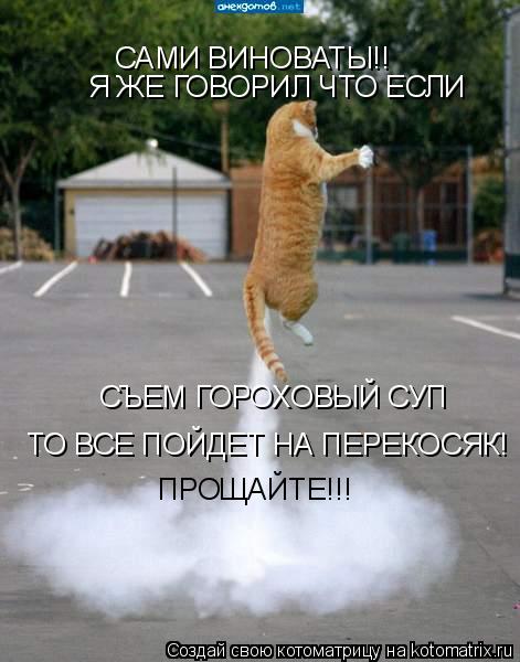 Котоматрица: САМИ ВИНОВАТЫ!! Я ЖЕ ГОВОРИЛ ЧТО ЕСЛИ СЪЕМ ГОРОХОВЫЙ СУП  ТО ВСЕ ПОЙДЕТ НА ПЕРЕКОСЯК! ПРОЩАЙТЕ!!!