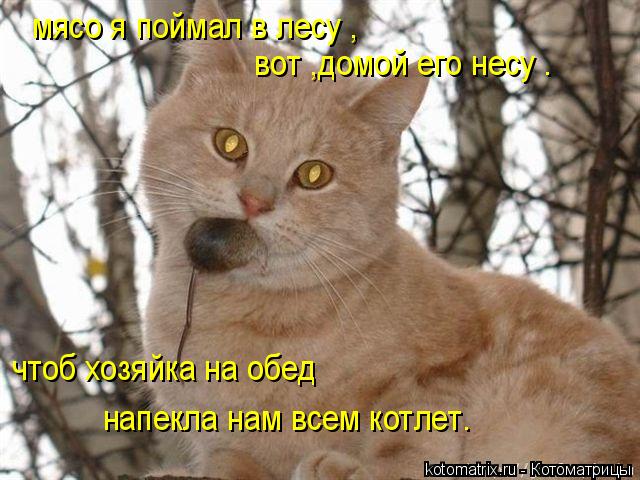 мясо я поймал в лесу , вот ,домой его несу . чтоб хозяйка на обед напекла нам всем котлет.... Котоматрица: мясо я поймал в лесу , вот ,домой его несу . чтоб хозяйка на обед напекла нам всем котлет.