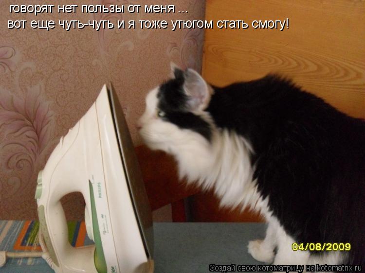 Котоматрица: говорят нет пользы от меня ... вот еще чуть-чуть и я тоже утюгом стать смогу!