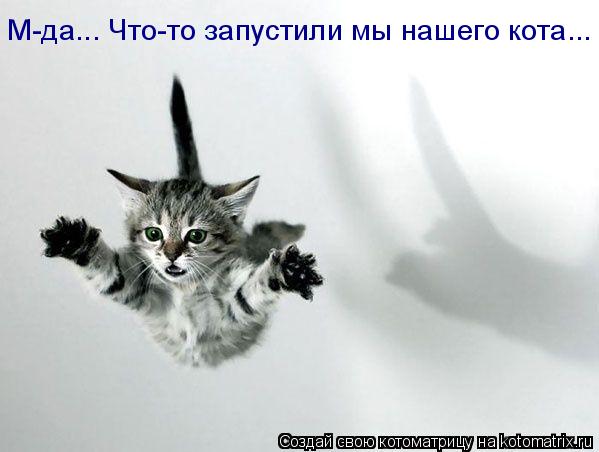 Котоматрица: М-да... Что-то запустили мы нашего кота...
