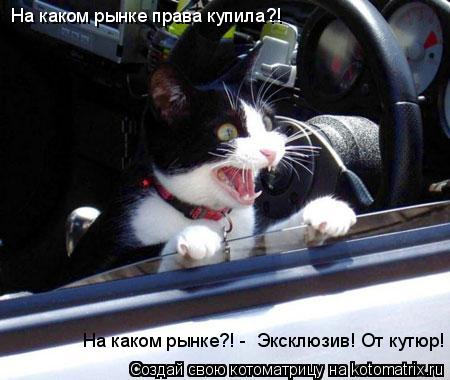 На каком рынке права купила?! На каком рынке?! - Эксклюзив! От кутюр!... Котоматрица: На каком рынке права купила?! На каком рынке?! - Эксклюзив! От кутюр!