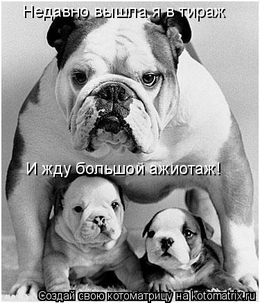 Недавно вышла я в тираж И жду большой ажиотаж!... Котоматрица: Недавно вышла я в тираж И жду большой ажиотаж!