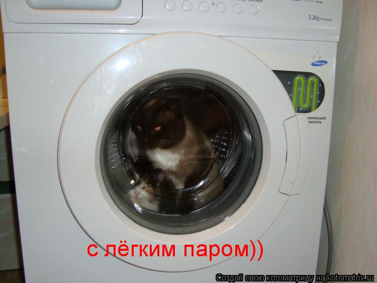 с лёгким паром))... Котоматрица: с лёгким паром))