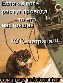 Если из попы растут провода....... то ето настоящая КОТОматрица!!!... Котоматрица: Если из попы растут провода....... то ето настоящая КОТОматрица!!!