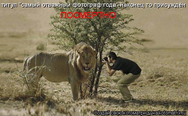 титул "самый отважный фотограф года" наконец то присуждён ПОСМЕРТНО... Котоматрица: титул "самый отважный фотограф года" наконец то присуждён ПОСМЕРТНО