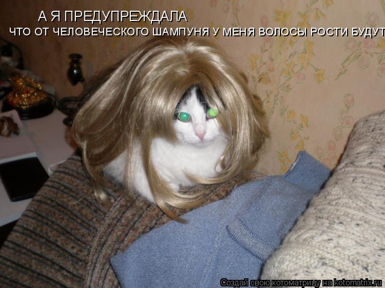 Котоматрица: А Я ПРЕДУПРЕЖДАЛА  ЧТО ОТ ЧЕЛОВЕЧЕСКОГО ШАМПУНЯ У МЕНЯ ВОЛОСЫ РОСТИ БУДУТ