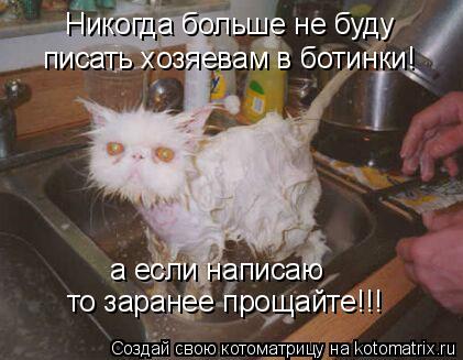 Котоматрица: Никогда больше не буду писать хозяевам в ботинки! а если написаю! а если написаю то заранее прощайте!!!