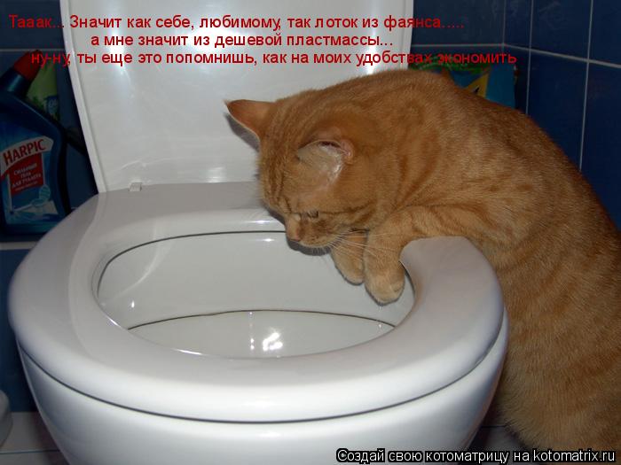 Котоматрица: Тааак... Значит как себе, любимому, так лоток из фаянса..... а мне значит из дешевой пластмассы... ну-ну, ты еще это попомнишь, как на моих удобств