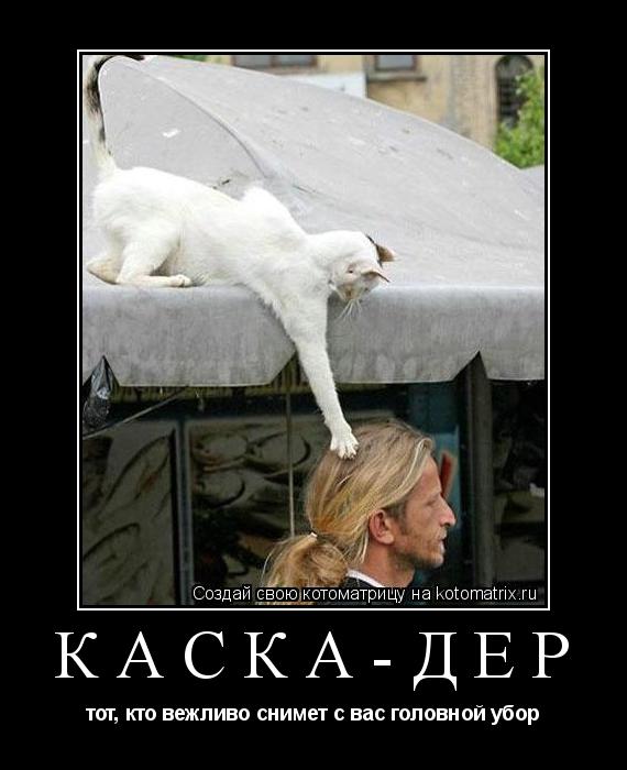 КАСКА-ДЁР тот, кто вежливо снимет с вас головной убор... Котоматрица: КАСКА-ДЁР тот, кто вежливо снимет с вас головной убор