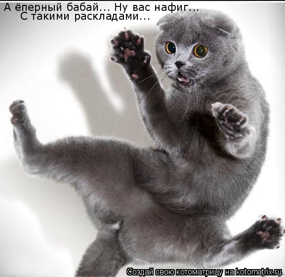 Котоматрица: А ёперный бабай... Ну вас нафиг... С такими раскладами...