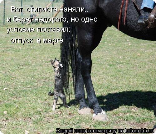 Вот, стилиста наняли.. и берет недорого, но одно условие поставил: отпуск в марте... Котоматрица: Вот, стилиста наняли.. и берет недорого, но одно условие поставил: отпуск в марте