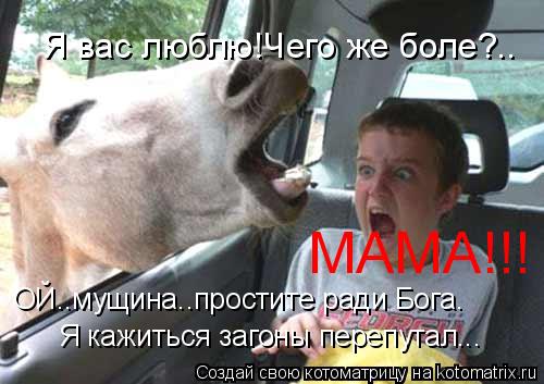 Котоматрица: МАМА!!! ОЙ..мущина..простите ради Бога. Я кажиться загоны перепутал... Я вас люблю!Чего же боле?..