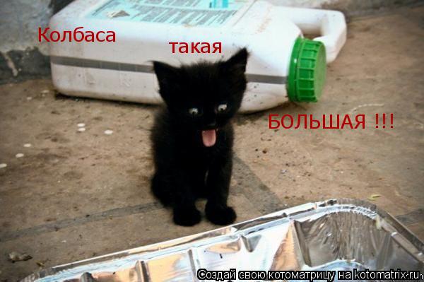 Котоматрица: Колбаса такая БОЛЬШАЯ !!!