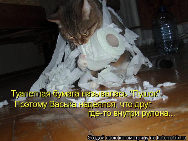 Туалетная бумага называлась "Пушок". Поэтому Васька надеялся, что друг где-то внутри рулона...... Котоматрица: Туалетная бумага называлась "Пушок". Поэтому Васька надеялся, что друг где-то внутри рулона...