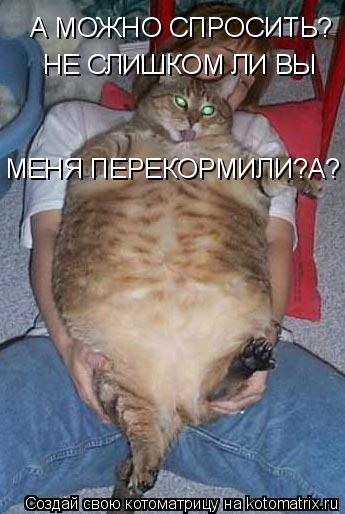 Котоматрица: А МОЖНО СПРОСИТЬ? НЕ СЛИШКОМ ЛИ ВЫ МЕНЯ ПЕРЕКОРМИЛИ?А?