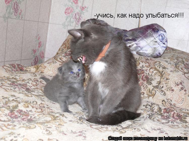 Котоматрица: -учись, как надо улыбаться!!!