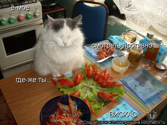 Котоматрица: -ё-моё... смотреть противно где-же ты... ВИСКАС...