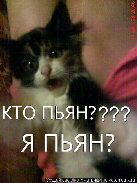 Котоматрица: ???