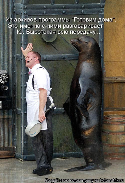 Котоматрица: Из архивов программы "Готовим дома". Это именно с ними разговаривает  Ю. Высотская всю передачу...