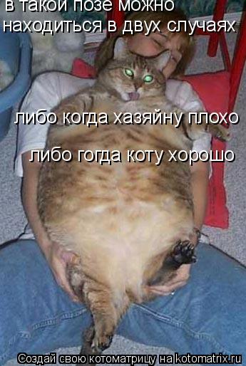 Котоматрица: в такой позе можно находиться в двух случаях либо когда хазяйну плохо либо гогда коту хорошо
