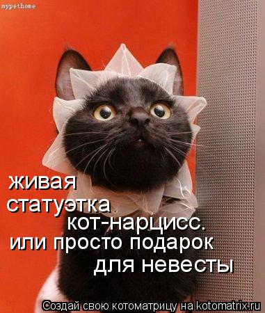 Котоматрица: статуэтка кот-нарцисс. или просто подарок живая для невесты