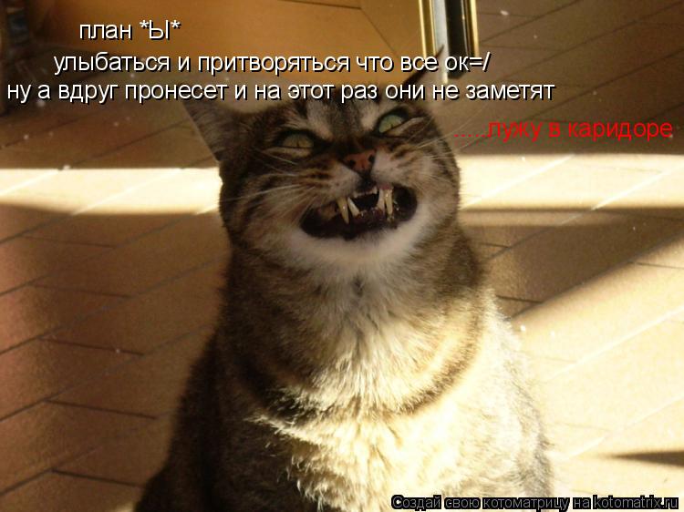 Котоматрица: план *Ы*  улыбаться и притворяться что все ок=/ ну а вдруг пронесет и на этот раз они не заметят  .....лужу в каридоре