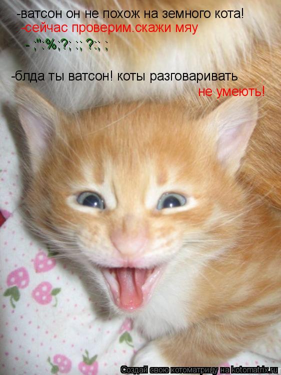 Котоматрица: -ватсон он не похож на земного кота! -сейчас проверим.скажи мяу -№;":%;?;№:;№?:;№;№ -блда ты ватсон! коты разговаривать  не умеють!