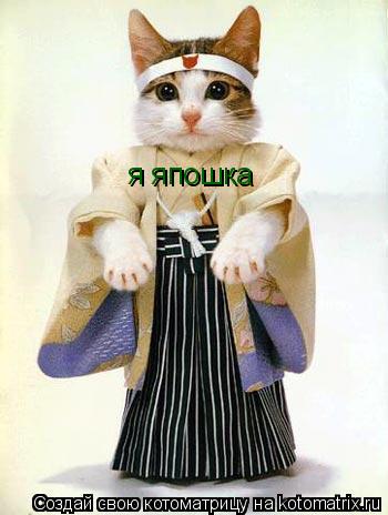 Котоматрица: я япошка