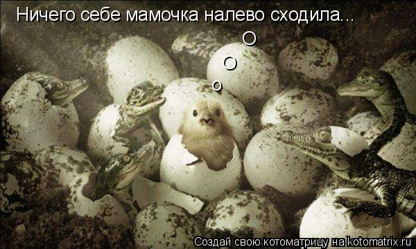 Котоматрица: Ничего себе мамочка налево сходила... о О О