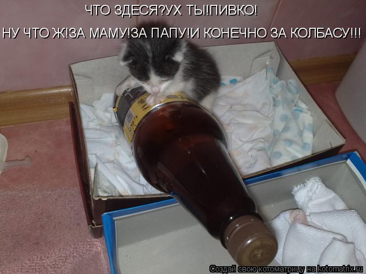 Котоматрица: ЧТО ЗДЕСЯ?УХ ТЫ!ПИВКО! НУ ЧТО Ж!ЗА МАМУ!ЗА ПАПУ!И КОНЕЧНО ЗА КОЛБАСУ!!!