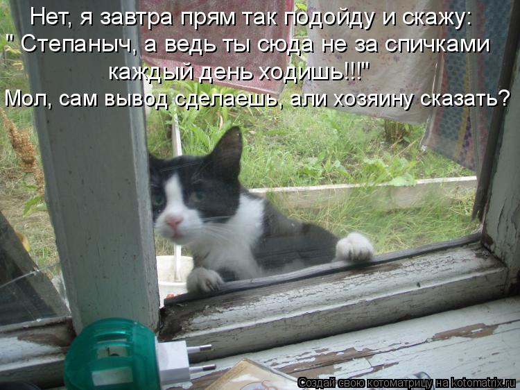 Нет, я завтра прям так подойду и скажу: " Степаныч, а ведь ты сюда не за спичками каждый день ходишь... Котоматрица: Нет, я завтра прям так подойду и скажу: " Степаныч, а ведь ты сюда не за спичками каждый день ходишь!!!" Мол, сам вывод сделаешь, али хозяину ска