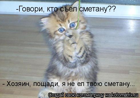 -Говори, кто съел сметану?? - Хозяин, пощади, я не ел твою сметану...... Котоматрица: -Говори, кто съел сметану?? - Хозяин, пощади, я не ел твою сметану...