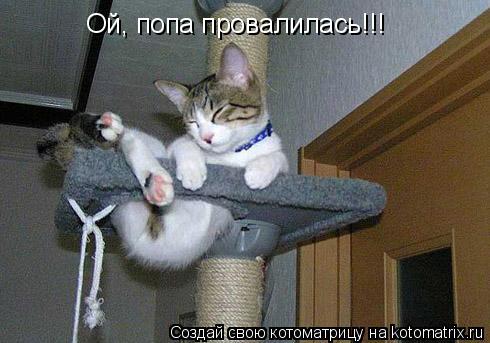Ой, попа провалилась!!!... Котоматрица: Ой, попа провалилась!!!