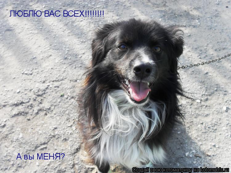 ЛЮБЛЮ ВАС ВСЕХ!!!!!!!! А вы МЕНЯ?... Котоматрица: ЛЮБЛЮ ВАС ВСЕХ!!!!!!!! А вы МЕНЯ?